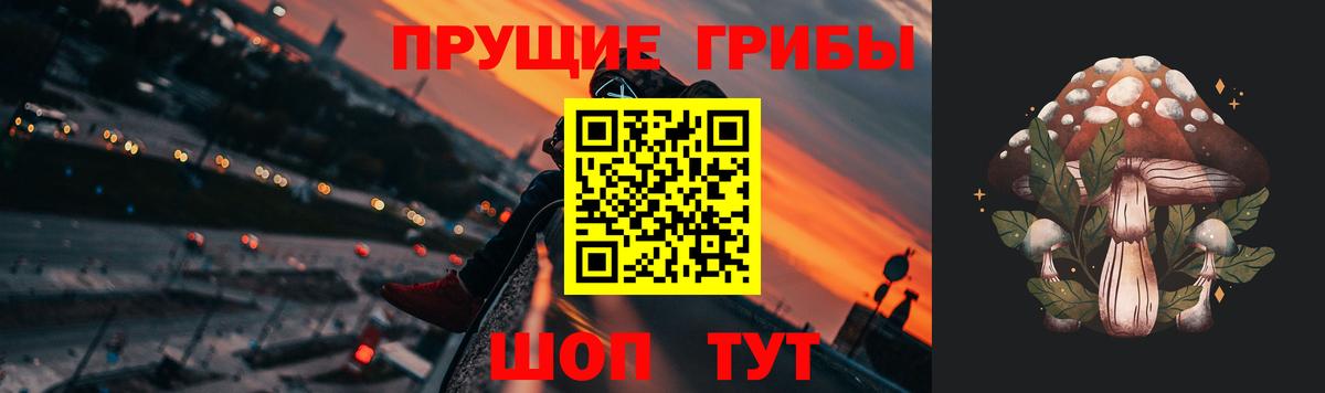 Псилоцибиновые грибы прущие грибы  Вход с VPN  Курчатов  Галлюциногенные грибы мицелий 