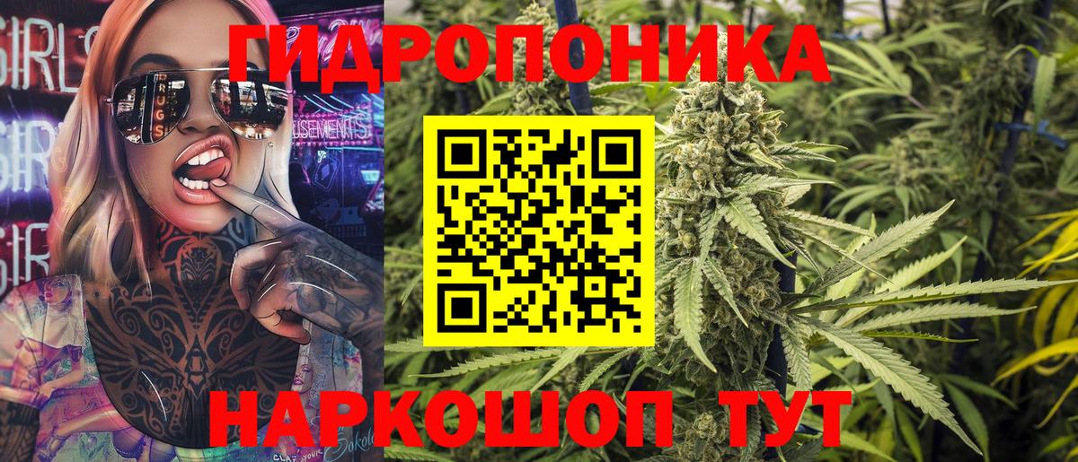 Канабис сатива Курчатов